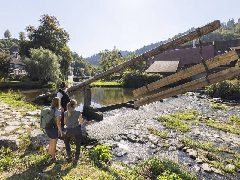 Drei Personen stehen an einem Gamber am Ufer der Kinzig in Schiltach