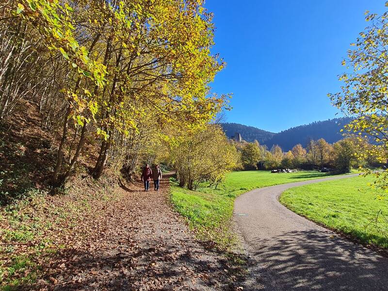 Zwei Personen spazieren auf einem von herbstlich gefärbten Blättern gesäumten Weg, der durch eine Landschaft mit grünen Wiesen und bewaldeten Hügeln unter einem klaren blauen Himmel führt.
