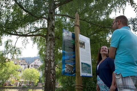 Ein Mann und eine Frau betrachten eine Informationstafel des Flößerpfads in einem grünen Park in Schiltach mit traditionellen Fachwerkhäusern im Hintergrund.