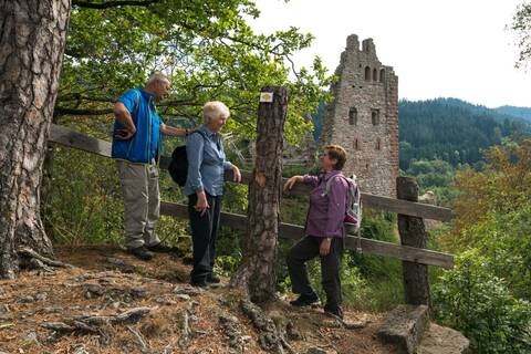 Drei erwachsene Wanderer machen eine Pause und betrachten die Landschaft und die Ruinen der Schenkenburg im bewaldeten Hügelland.